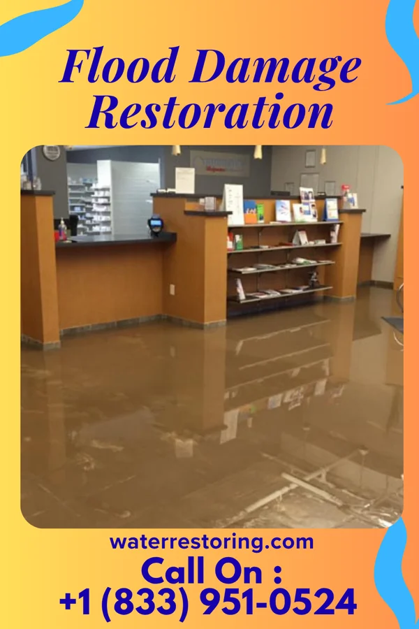 Flood Damage Restoration in Brock Hall, MD