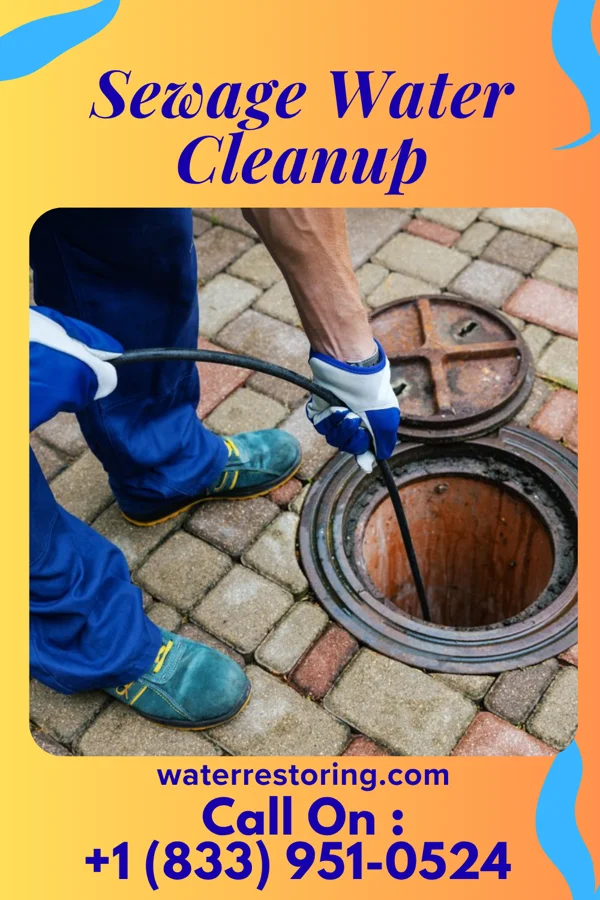 Sewage Water Cleanup in Brock Hall, MD