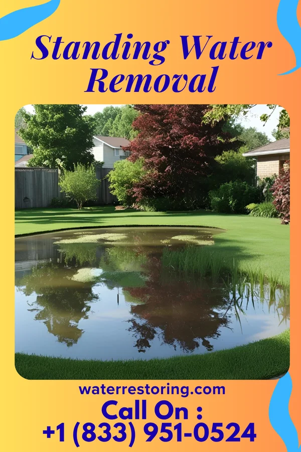Standing Water Removal in Brock Hall, MD